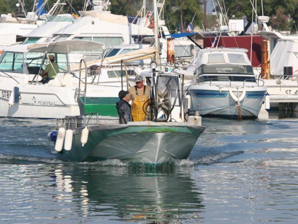 Oh! Campings La Brise Saintes-Maries-de-la-Mer Bagian luar foto